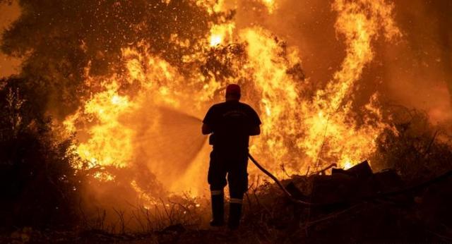 فرق الإطفاء الجزائرية تحقق سيطرة كبيرة على ”حرائق الغابات”