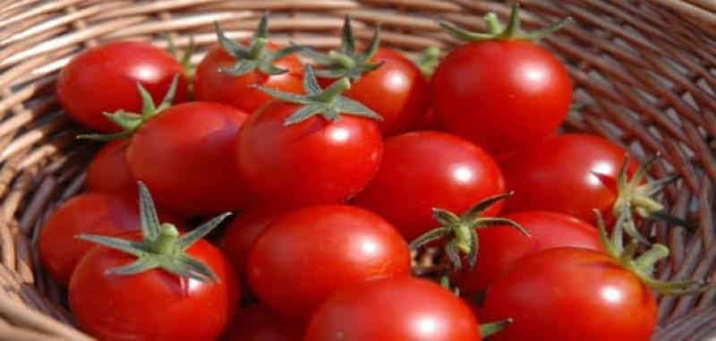 «الطماطم» بـ5 جنيهات.. تعرف على أسعار الخضراوات للجملة اليوم السبت