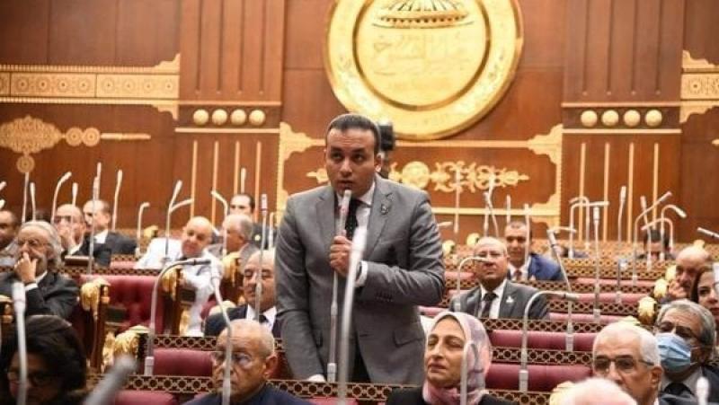 برلمانى: الرئيس السيسى حريص على توسيع مظلة الحماية الاجتماعية بالتعاون مع المجتمع المدنى