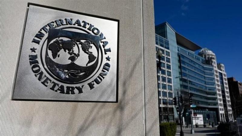 صندوق النقد الدولي، فيتو