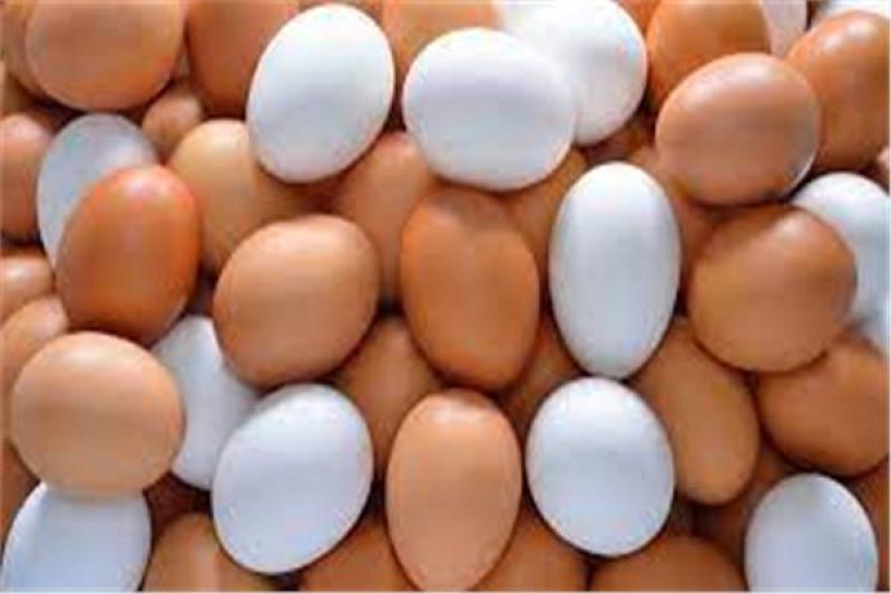 استقرار أسعار البيض السبت 14 يناير