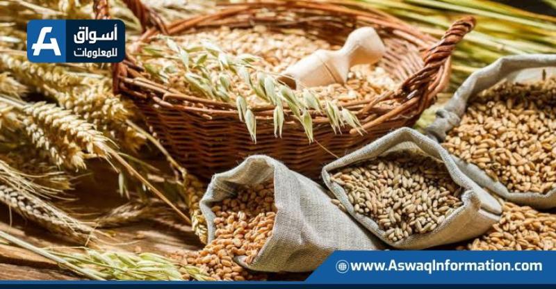 ”القمح والذرة في السماء” .. تعرف على حصاد بورصات السلع والزيوت بختام الأسبوع