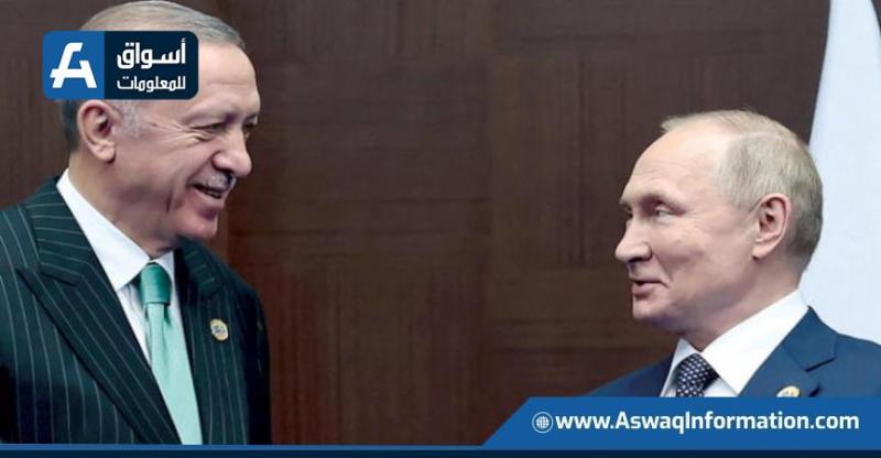أردوغان يعرض على بوتين الوساطة في توريد الحبوب الروسية إلى إفريقيا