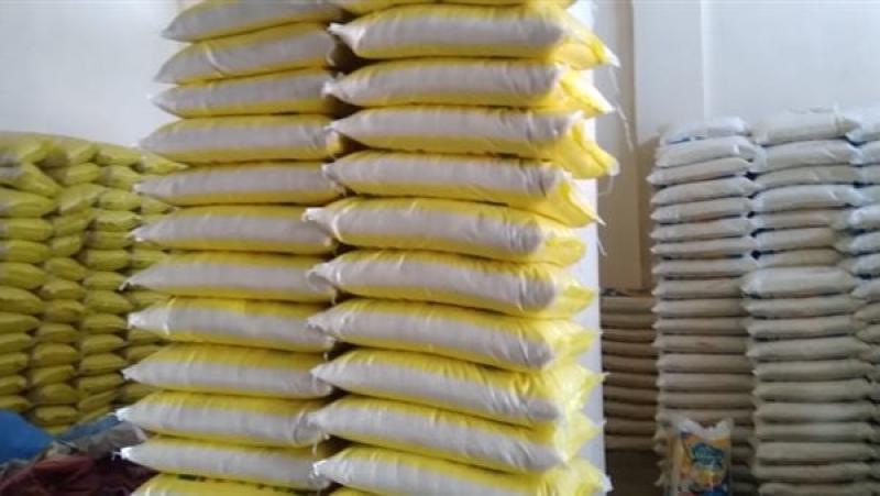 توريد 65 ألف طن أرز شعير ضمن عمل منظومة توريد الأرز بالغربية
