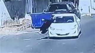 حبس المتهم بدهس سيدة في...