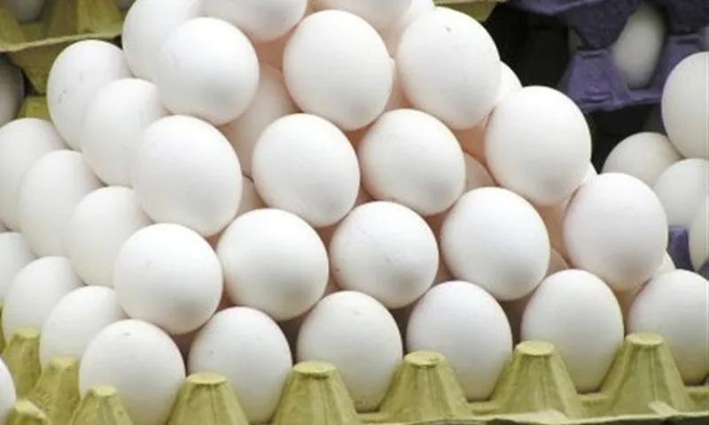 ارتفاع أسعار البيض اليوم والطبق البلدي يسجل 112 جنيها