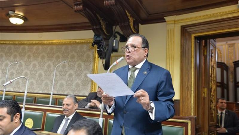 أبو هميلة: تصريحات الرئيس قطعت الطريق أمام مروجي الفتن بين مصر والأشقاء العرب