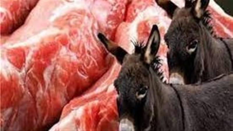 الحبس سنة وغرامة 10 آلاف جنيه لجزارين باعا لحوم حمير وخيولا للمواطنين بقنا | بث مباشر