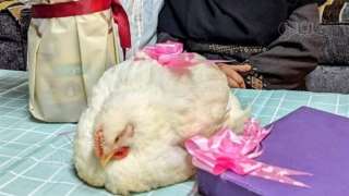 عيد الحب، شاب يهدي زوجته...