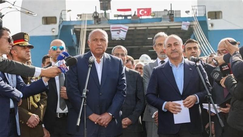 سياسة  وزيرا خارجية مصر وتركيا في ميناء مرسين اليوم