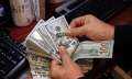 الدولار يواصل الارتفاع أمام الجنيه...