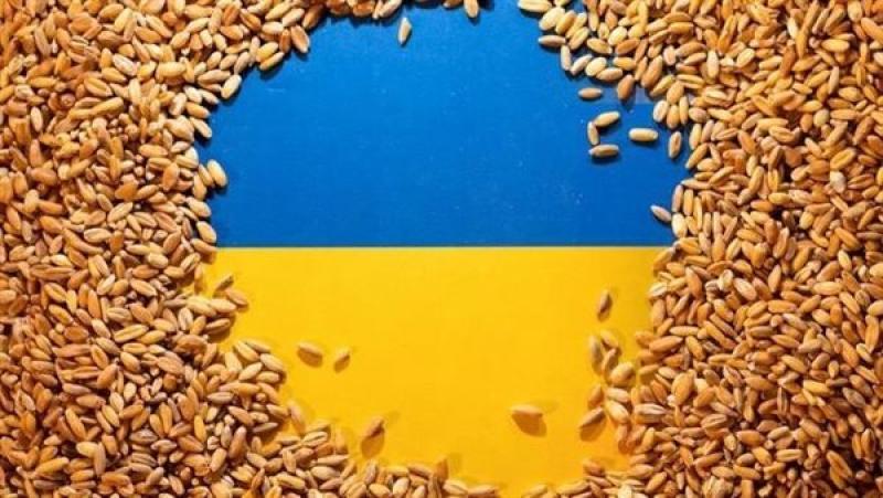 اتفاق تصدير الحبوب الأوكرانية، فيتو