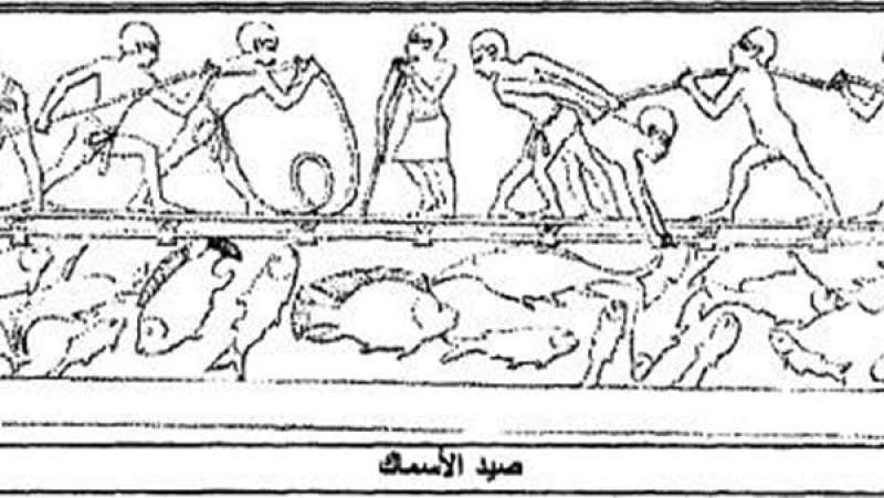 خبير أثري يكشف أسرار حفظ الأسماك المملحة في عهد المصريين القدماء