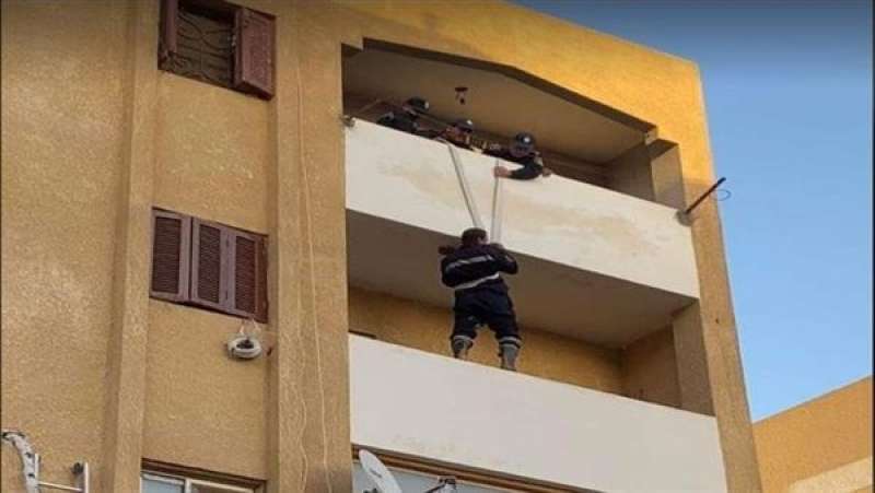 بدون رعاية.. الحماية المدنية تنقذ قطة محتجزة داخل شقة بالطابق 11 في الشيخ زايد