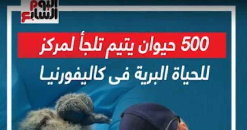 500 حيوان يتيم
