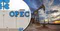 أوبك: روسيا أصبحت أكبر مورد...