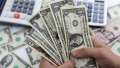 سعر الدولار اليوم الأحد 14-5-2023...