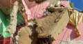 أسماء ضحايا ومصابي حادث انهيار...