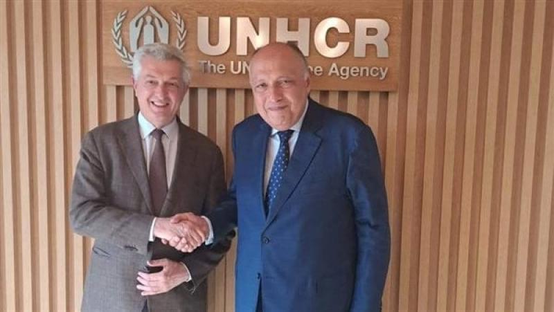 شكري وجراندي خلال اللقاء