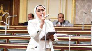 برلمانية: الأزمة السكانية شائكة جدًا...