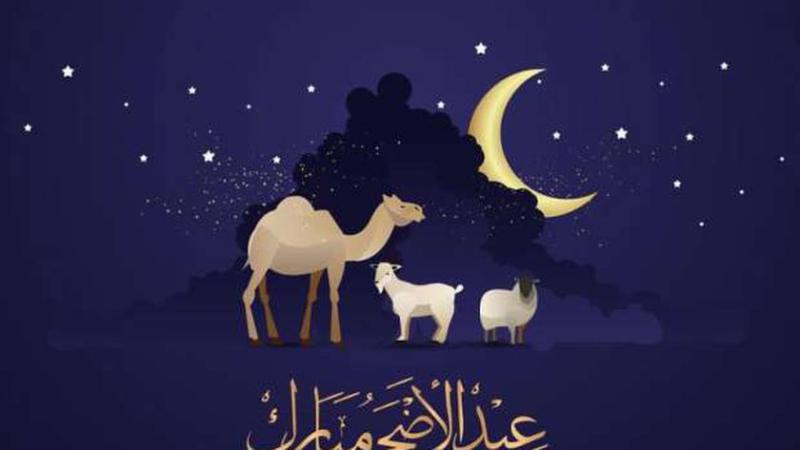 عيد الأضحى في مصر وعدد أيام الإجازة - تعبيرية