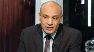 كاتب صحفي : الجماعات الإرهابية...