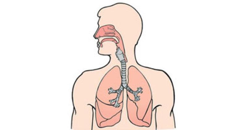 الجهاز التنفسي