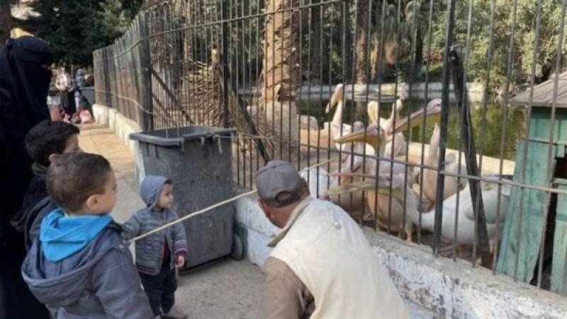 حديقة الحيوان