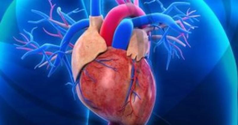 سلوكيات تزيد من خطر الإصابة بأمراض القلب؟