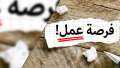 براتب 7000 جنيه.. وزارة العمل...
