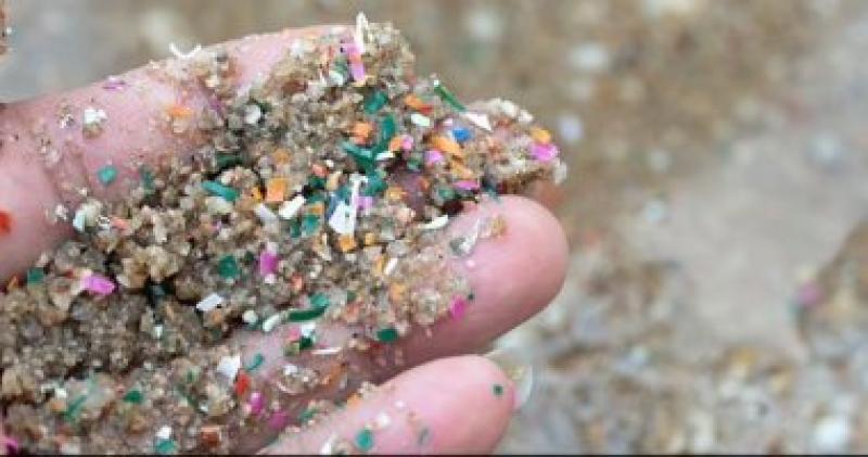 العثور على جزيئات بلاستيك فى قلوب البشر
