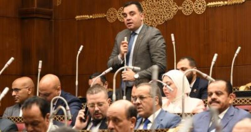 النائب محمد السباعي عضو مجلس الشيوخ عن تنسيقية شباب الأحزاب