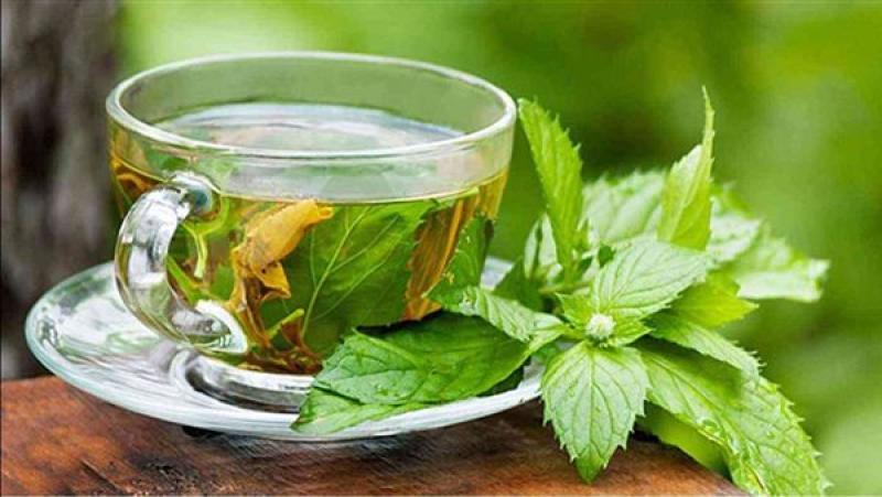 صحة وطب  الشاي الأخضر