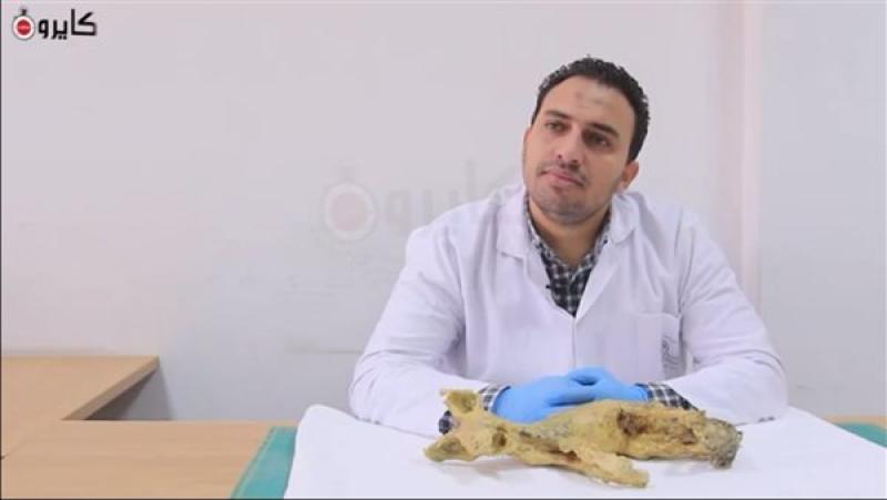 أخبار  الدكتور مصطفى إسماعيل