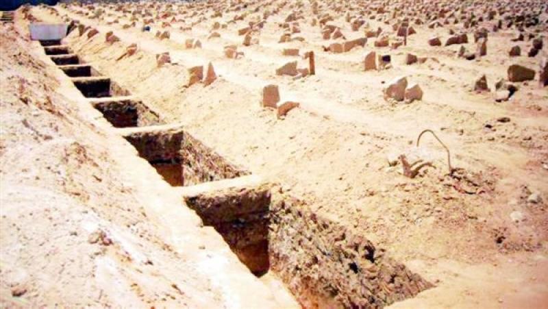 ماذا سوف يجد الإنسان في قبره،فيتو