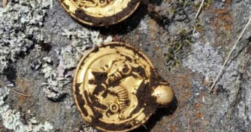 نرويجي يعثر على مجوهرات تاريخية