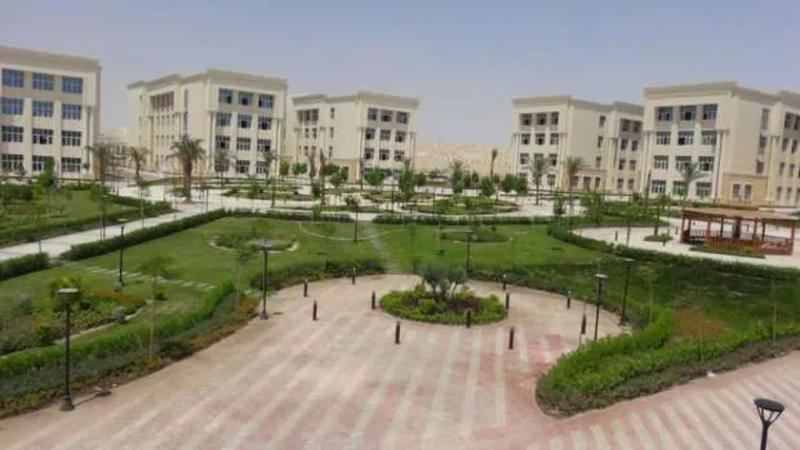 جامعة المنيا