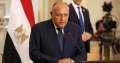مصر تجدد مطالبتها لإسرائيل بوقف...