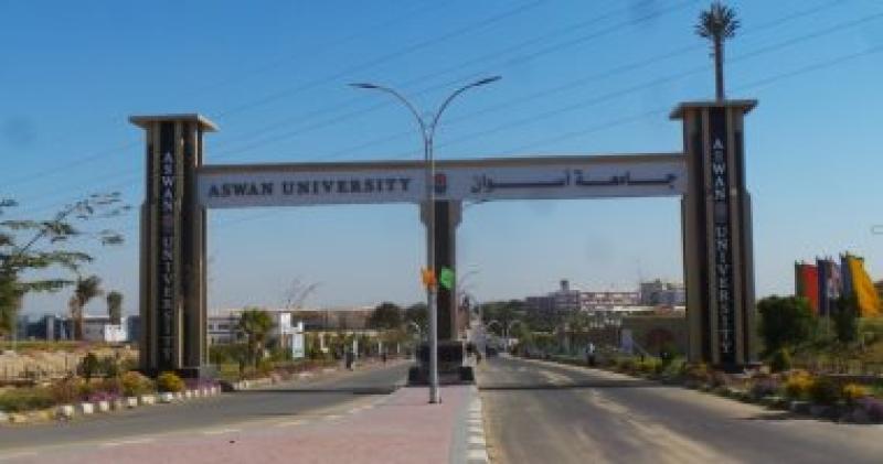 جامعة أسوان