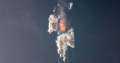 SpaceX تستعد لإطلاق صاروخ Falcon...