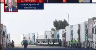أستاذ علوم سياسية بجامعة القاهرة:...