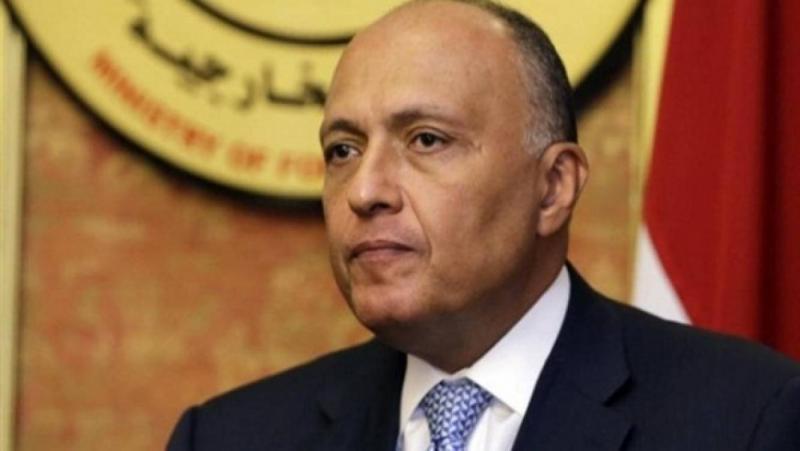 وزير الخارجية: مصر تعمل على جهود التسوية وإدخال المساعدات الإنسانية وإطلاق سراح الأسرى
