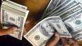 سعر الدولار مقابل الجنيه في...