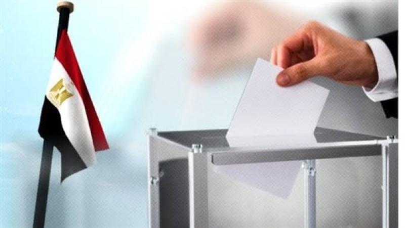 الدعاية الانتخابية في الانتخابات الرئاسية،فيتو