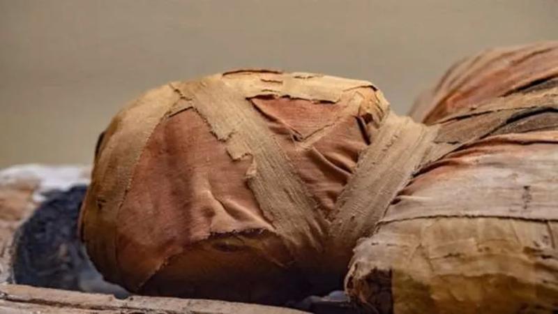 عاش قبل 2300 سنة.. إعادة بناء وجه مراهق مصري عانى من حالة طبية نادرة