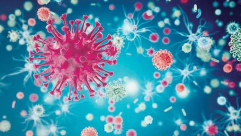 دراسة تثير القلق حول فيروس كورونا الجديد.. هل يكون أشرس من وباء 2020؟