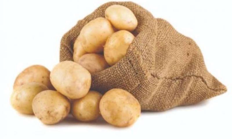 زيادة أسعار البطاطس