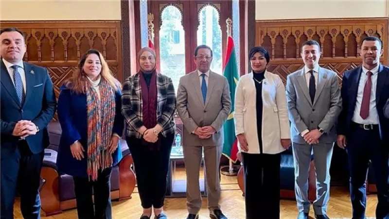 وفد تنسيقية شباب الأحزاب يلتقى سفير موريتانيا لدى القاهرة