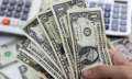 سعر الدولار مقابل الجنيه اليوم...