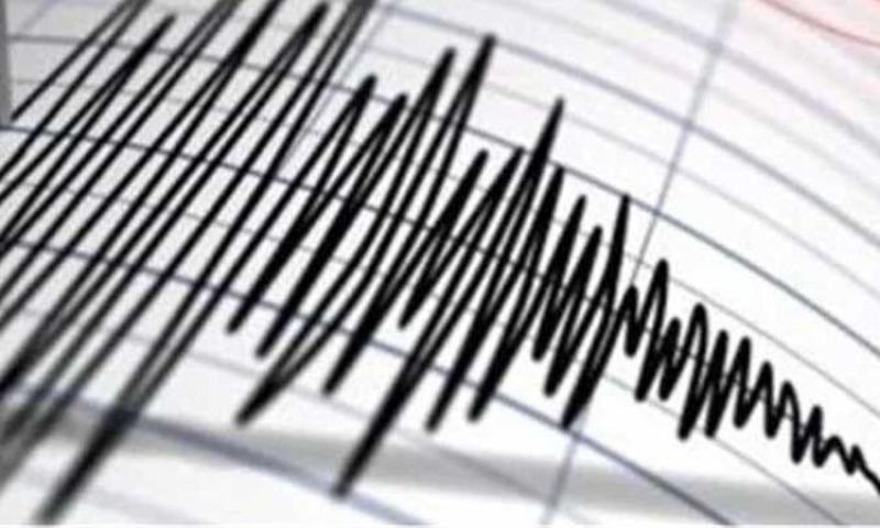 زلزال بقوة 4.9 درجة يهز شمال باكستان